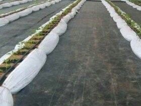 پارچه ژئوتکستيل PET برای آب پاشي و نگهداري آب