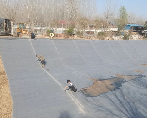 پوشش ژئوسنتتیک آغشته به سیمان (CCB)   استقرار. آبرسانی. سخت شدن.