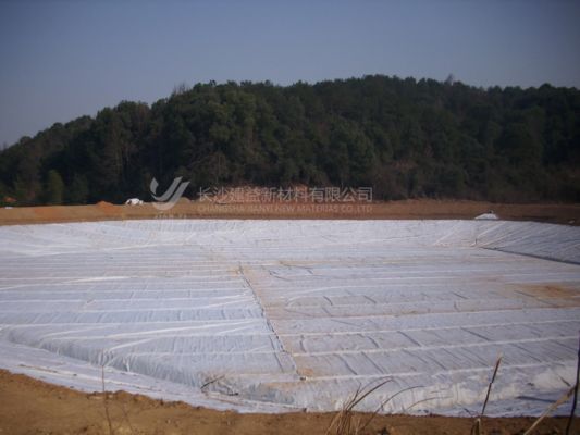 ژئوتکستایل الیاف کوتاه: راه حل مهندسی مقرون به صرفه و همه کاره